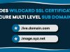does wildcard ssl certificate secure multi level sub domains